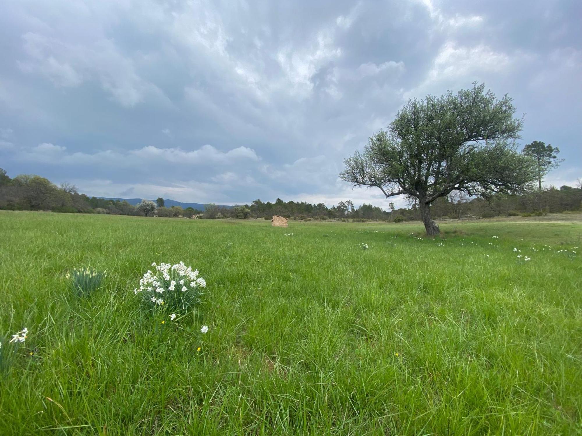 אופס La Cabane De Babarot מראה חיצוני תמונה